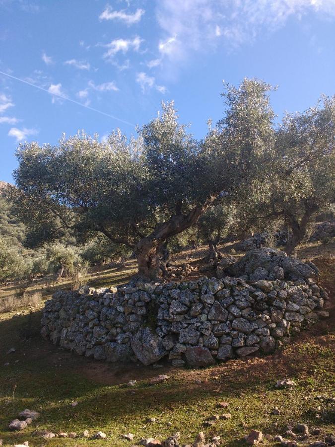 Casa Relojero Villa Zarza-Capilla Luaran gambar